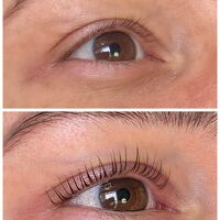 Korean Lash Lift